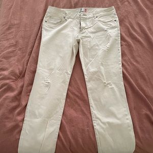 CABI jeans